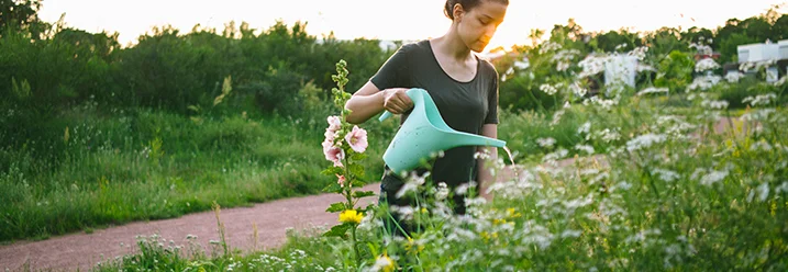 Person gießt Pflanzen mit Gießkanne